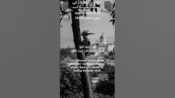سورة النمل 34/20 turk/arab #القران_الكريم#quran