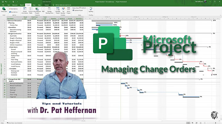 MS Project 10 - Managing Change Orders