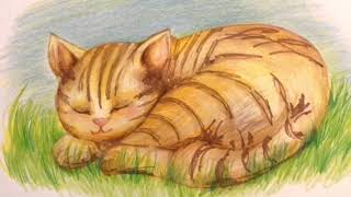 おやすみトラ猫のロンルー