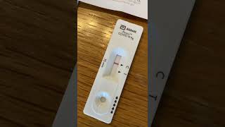 大正製薬のコロナ検査キットが正確すぎた｜“薄いライン”でも陽性反応　人生初コロナ　#大正製薬検査キット　#コロナ体験談　#味覚異変とグルメ