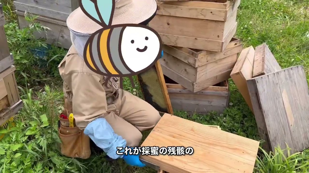 5月末採蜜後の内見