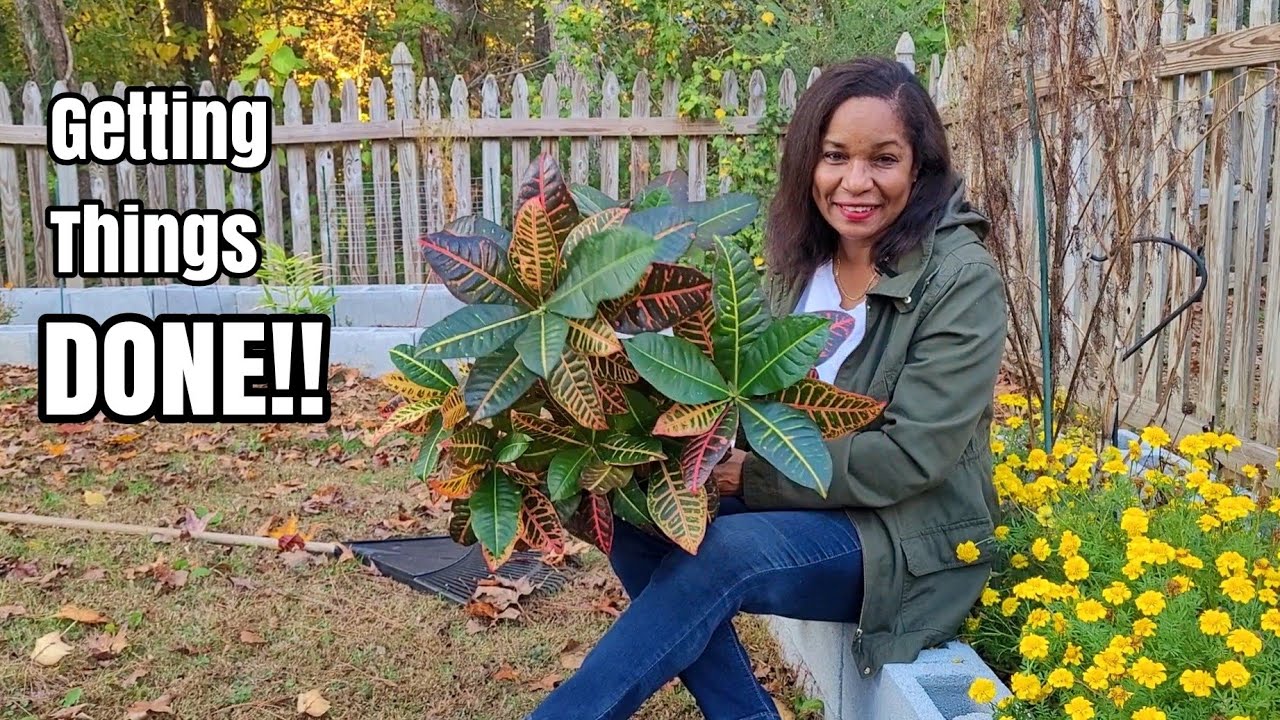 Winterize Your Garden so it can be beautiful for Spring #overwintering ...