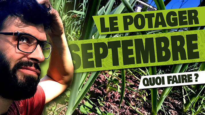 POTAGER - Quoi faire en SEPTEMBRE au Potager?