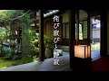 侘び寂びと静寂 | Wabi-Sabi and the Silence of Kyoto Gardens