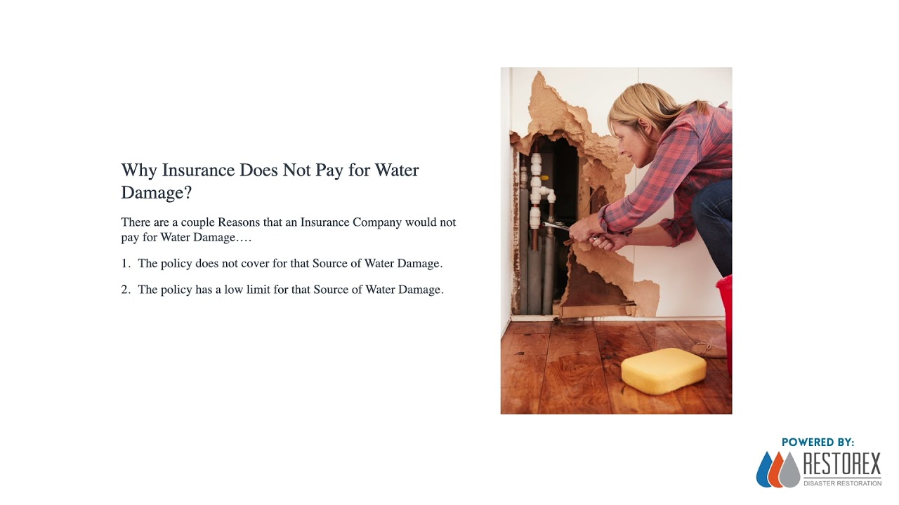 How Much Does Insurance Pay for Water Damage? YouTube