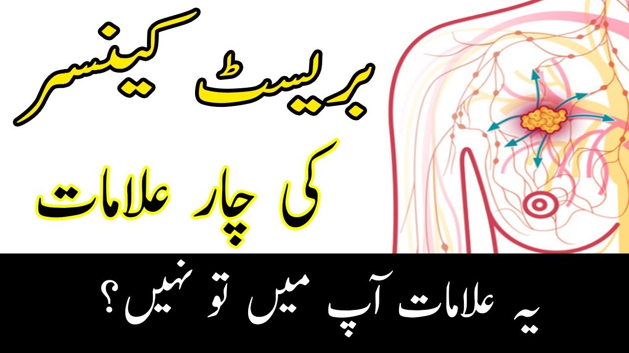 Breasts Meaning In Urdu, Seenah سینہ