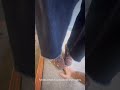 Trample hand