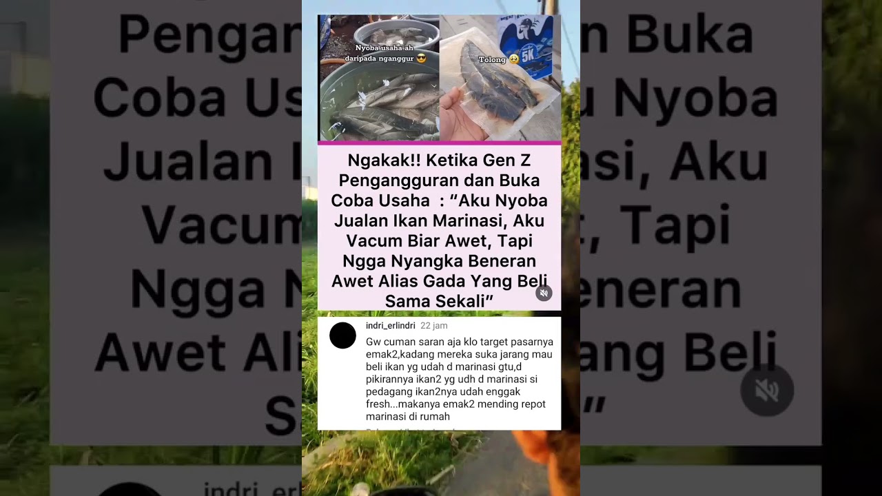 ketika pengangguran buka usaha jual ikan