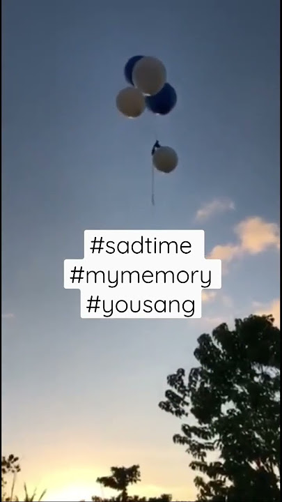 #sadtime #memory #yousan #followmyshortsvideo