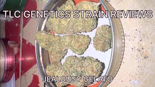 Jealousy Gelato Cannabis Flower (Strain Review): The TLC Genetic Show