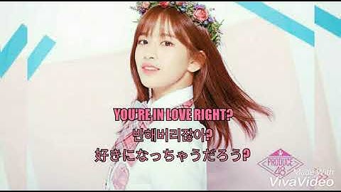 Thumbnail of HOW WOULD IZONE SING YOU'RE IN LOVE RIGHT?  PRODUCE 48 FINAL SONG BY JESICAPRILA [LINE DISTRIBUTION]