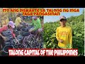 Paano Mag-alaga ng Talong ang taga-Pangasinan- Talong Capital of the Philippines