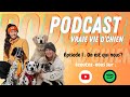 Vraie vie dchien  podcast 1 prsentation