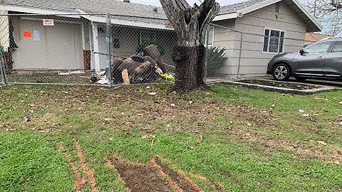 Driver who crashed into Rancho Cordova home arrested for manslaughter