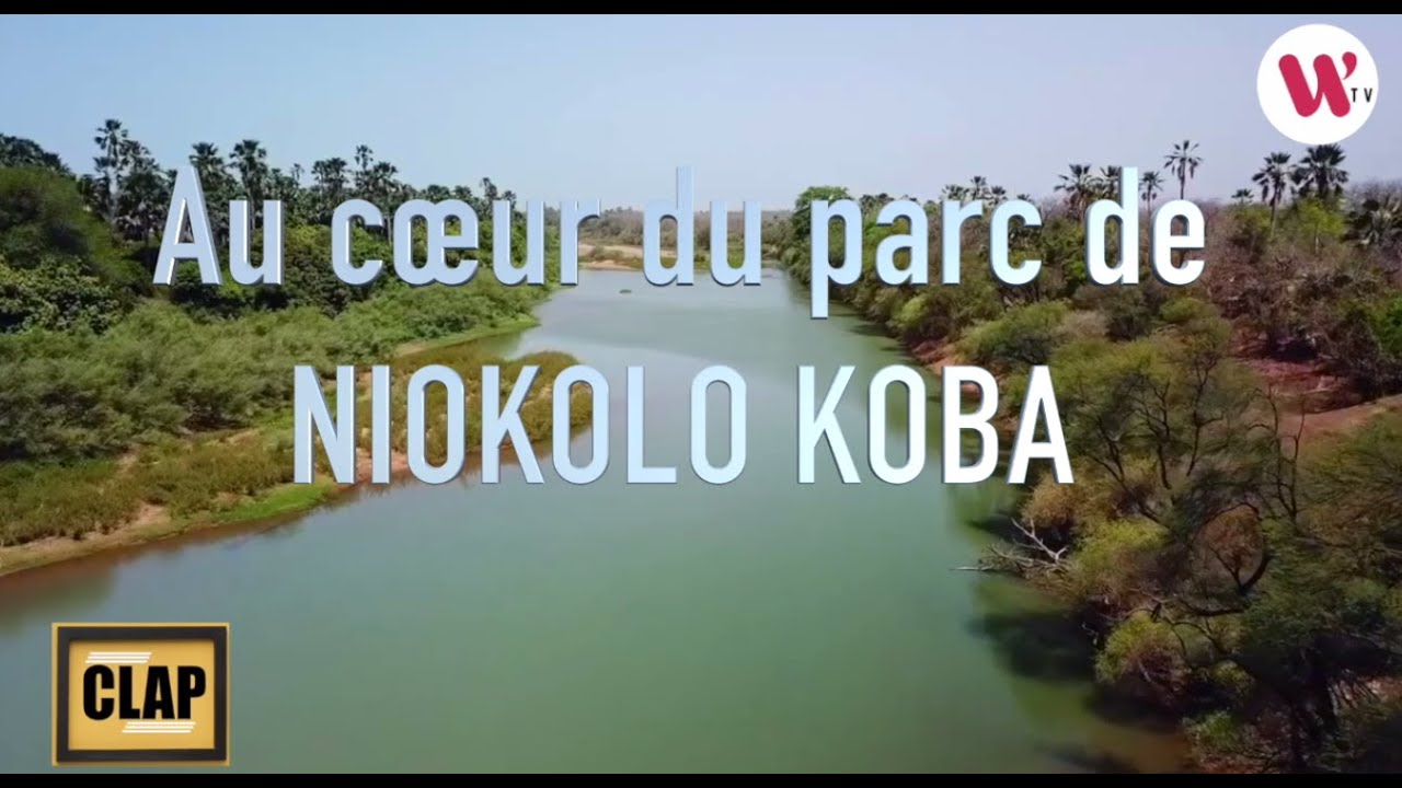 Clap Parc Niokolo Koba