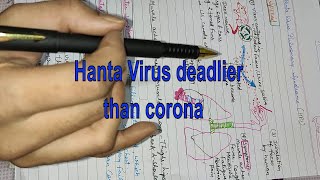 Hanta virus: Is it more dangerous than corona. Hanta virus completely explained screenshot 2
