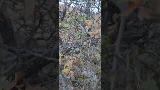 Yürekten Akıp Gelen Sevgiye, Fiyat Biçilemez. Yakından Bakıp, Görmek Gerekiyor. Hiç Bir Şey, Uzaktan Resimi