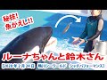 秘技！魚がえし！！鈴木トレーナー＆ルーナちゃんのまったりタイム【2020年2月24日　鴨川シーワールド　シャチパフォーマンス】