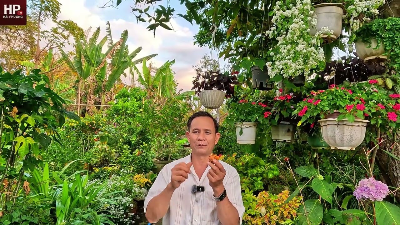 ai bị tràn dịch khớp gối đau đầu gối hãy tìm ngay 4 bài thuốc này