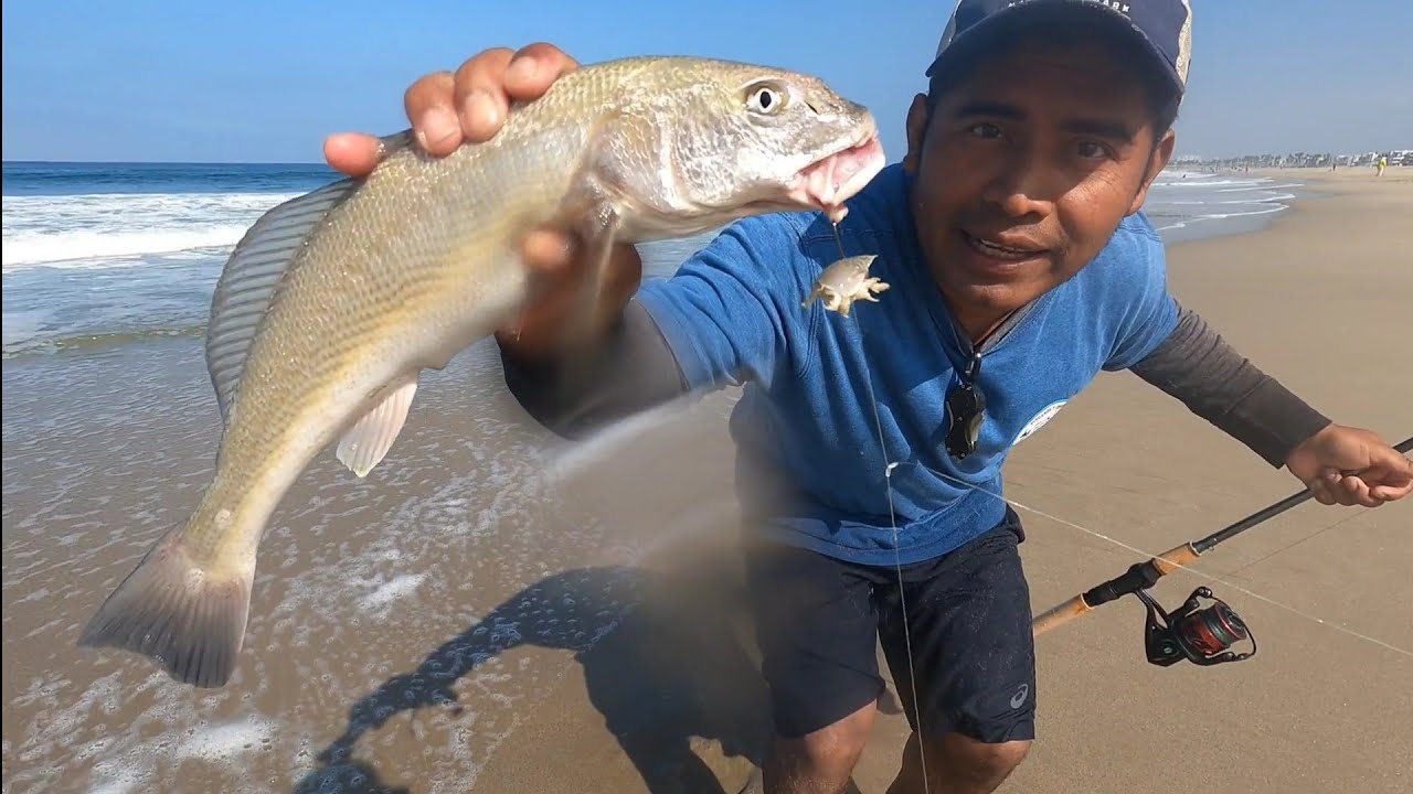 Sacando CARNADA en la playa y tubimos buena pesca!! pescando en las playas de marina del rey ca🔥🎣