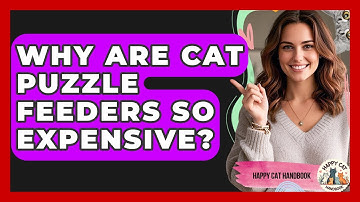 Why Are Cat Puzzle Feeders So Expensive? - Happy Cat Handbook