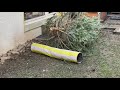 Ein glückliches Kaninchen im Garten