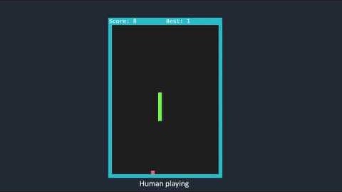 APCSP Snake Create Task 2018