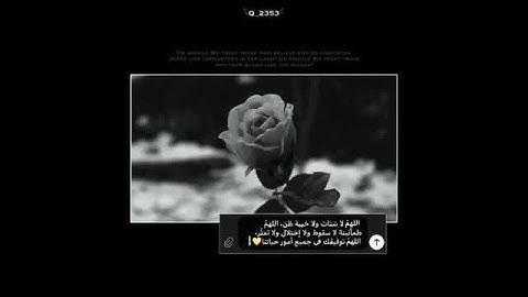 حالات واتس اب دينيه قرآن الكريم /ستوريات انستا قرآن/ إسلام صبحي /ارح قلبك