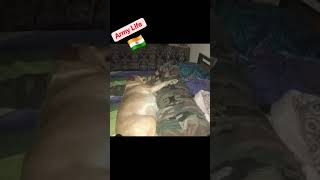 Teri mitti me mil jaau..army Life army status SSB CRPF BSF ITBP SSC GD shorts viral video