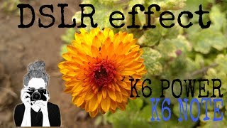 DSLR Camera Effect in Lenovo K6 Power K6 Note with sample Shots...|| screenshot 4