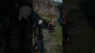 Witcher 3 Next Gen Finishers