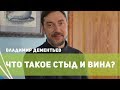 Что такое стыд и вина? Психолог в Саратове Владимир Дементьев