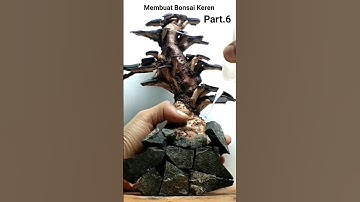 Making a Bonsai Tree From Wood and Stone #shorts #bonsaitree #aquarium