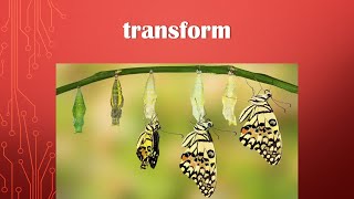 transform meaning