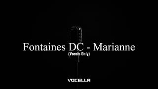 Fontaines DC - Marianne (Acapella/Vocals Only)