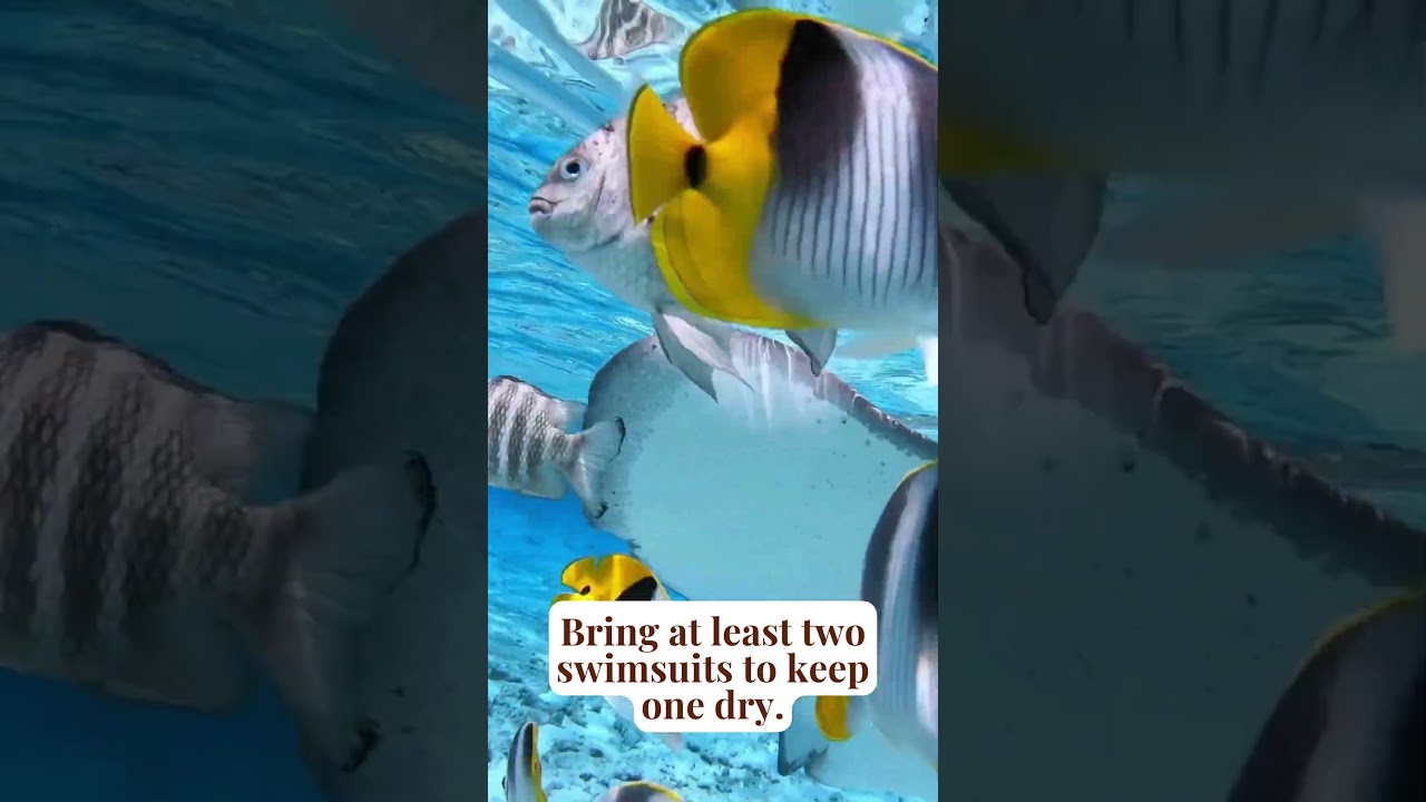 6 More Cruise Packing Tips  