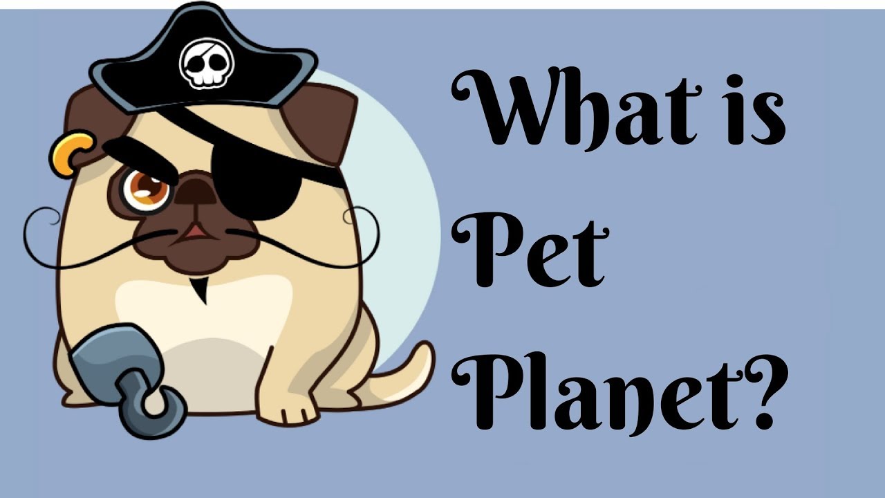 what-is-pet-planet-youtube