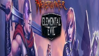 Neverwinter Paladin Walkthrough