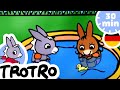TROTRO DEUTSCH🐠 Trotro und der Goldfisch🐠|Kartoon|HD|2021