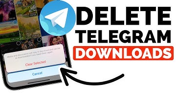 How to Delete Downloads from Telegram App on iPhone | Find and Delete Downloaded Telegram Files