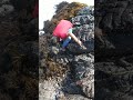 Hook Fishing in Oman