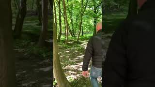 Реальный Калининград: благоустройство парков! 🌴🌳🌿🌲