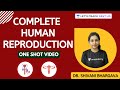 Complete Human Reproduction in One Shot | 4-Hour Marathon | NEET Biology | NEET UG