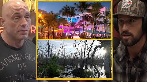 Joe Rogan : "Everglades Are Dying Because Of Miami"