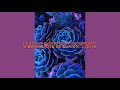 Shawn Mendes & Zedd - Lost In Japan (Remix) lyrics video 가사해석