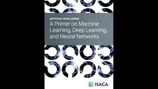 AIAuditor A Primer On ML DL and NN Chapter 1
