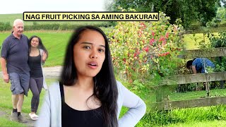 FILIPINA BRITISH LIFE IN UK: NAG FRUIT PICKING ANG EX NI MISTER SA AMING BAKURAN