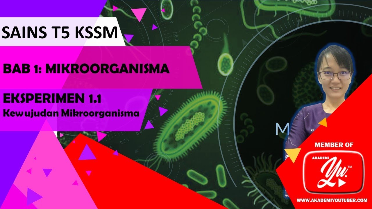 Bab 1 Tingkatan 5 Kssm Sains Eksperimen 1 1 Kewujudan Mikroorganisma Youtube