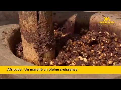 TOGO : AFRICUBE, LE CUBE DE BOUILLON 100% NATUREL QUI SÉDUIT L'AFRIQUE ET LA DIASPORA