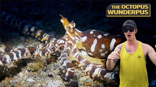 The WUNDERPUS 🐙 - Finding Rarest OCTOPUS in Philippines (Must See)